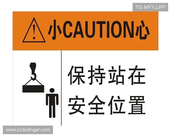 保持登录信息的安全性,AG恒峰官网登入安全策略和防范措施介绍